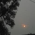 Vraj-Yatra-2014- (1507)